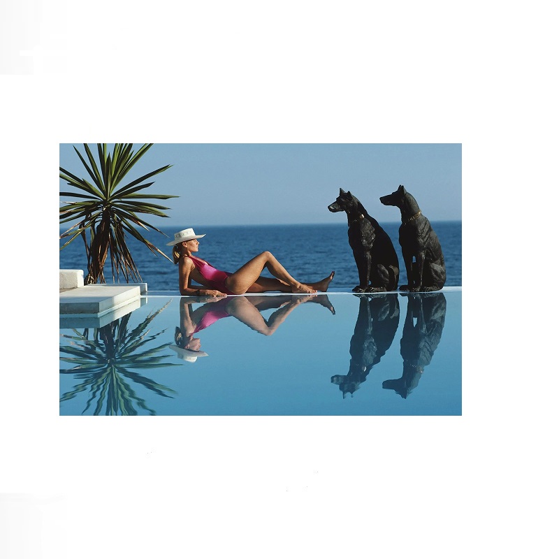 Retro Poolside Host Luxury Lif - مراجعة Luxury Lifestyle Homes وسعره